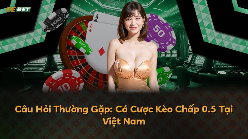 Câu Hỏi Thường Gặp: Cá Cược Kèo Chấp 0.5 Tại Việt Nam