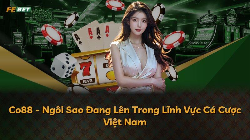 Co88 - Ngôi Sao Đang Lên Trong Lĩnh Vực Cá Cược Việt Nam