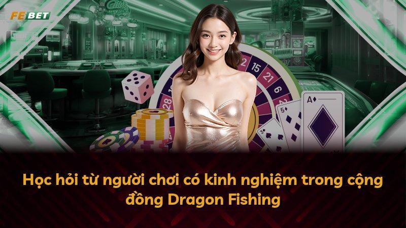 Học hỏi từ người chơi có kinh nghiệm trong cộng đồng Dragon Fishing