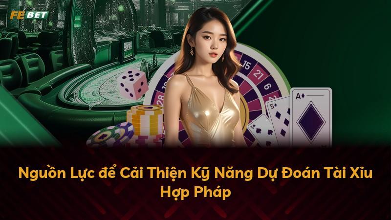 Nguồn Lực để Cải Thiện Kỹ Năng Dự Đoán Tài Xỉu Hợp Pháp
