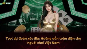 Tool dự đoán xóc đĩa: Hướng dẫn toàn diện cho người chơi Việt Nam