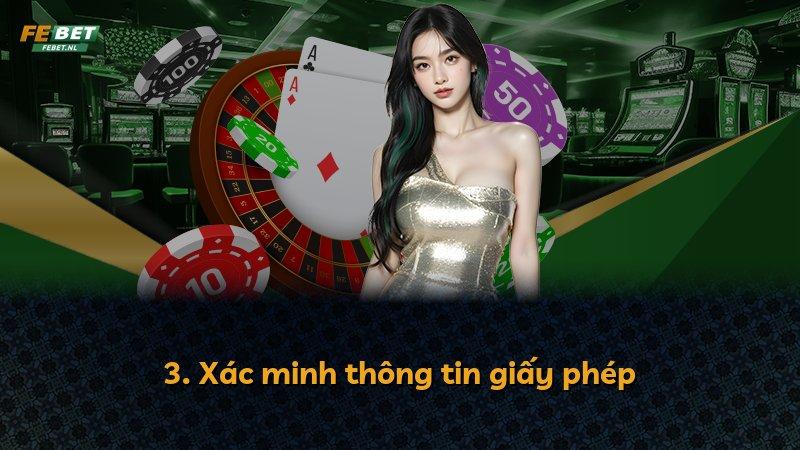 3. Xác minh thông tin giấy phép