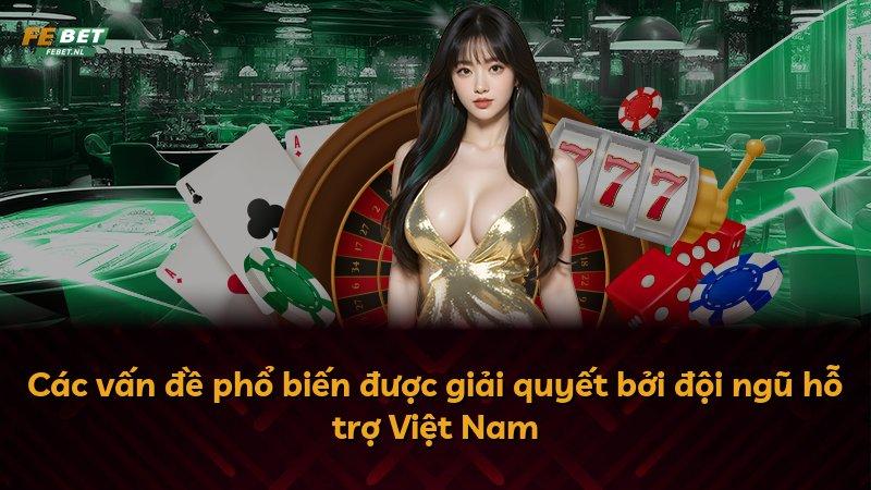 Các vấn đề phổ biến được giải quyết bởi đội ngũ hỗ trợ Việt Nam