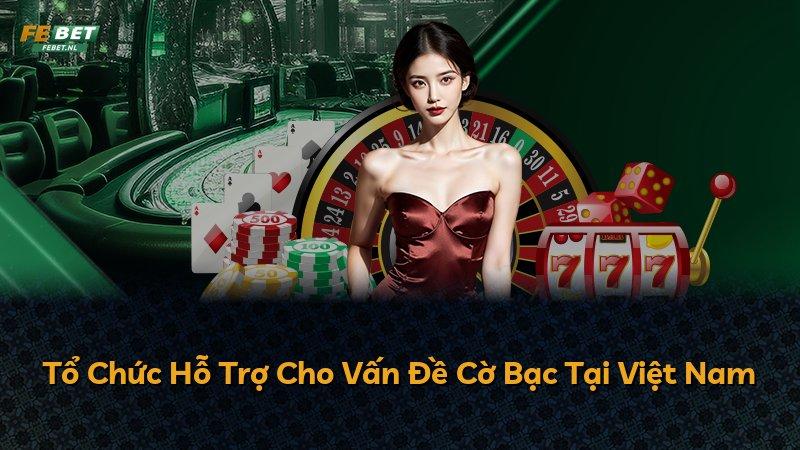 Tổ Chức Hỗ Trợ Cho Vấn Đề Cờ Bạc Tại Việt Nam