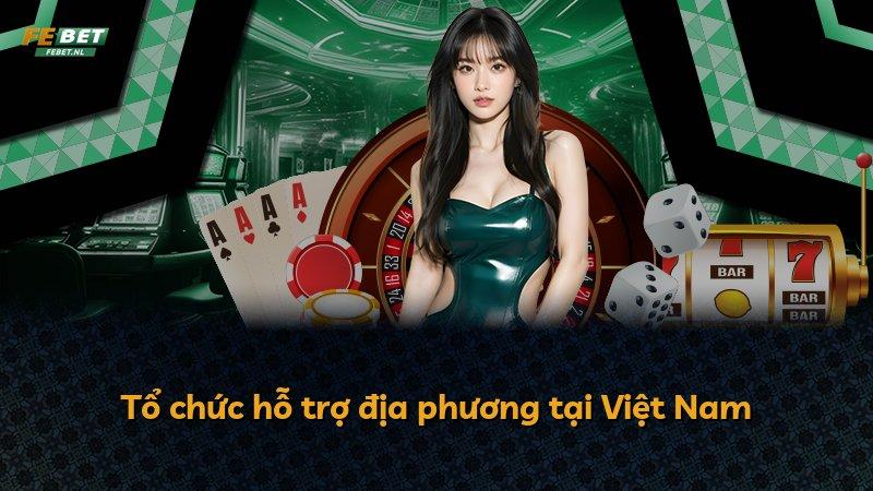Tổ chức hỗ trợ địa phương tại Việt Nam