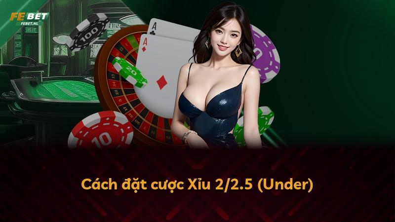 Cách đặt cược Xỉu 2/2.5 (Under)