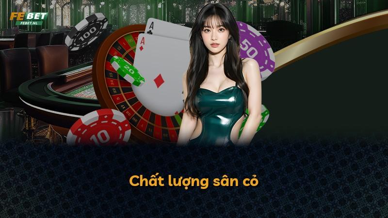 Chất lượng sân cỏ