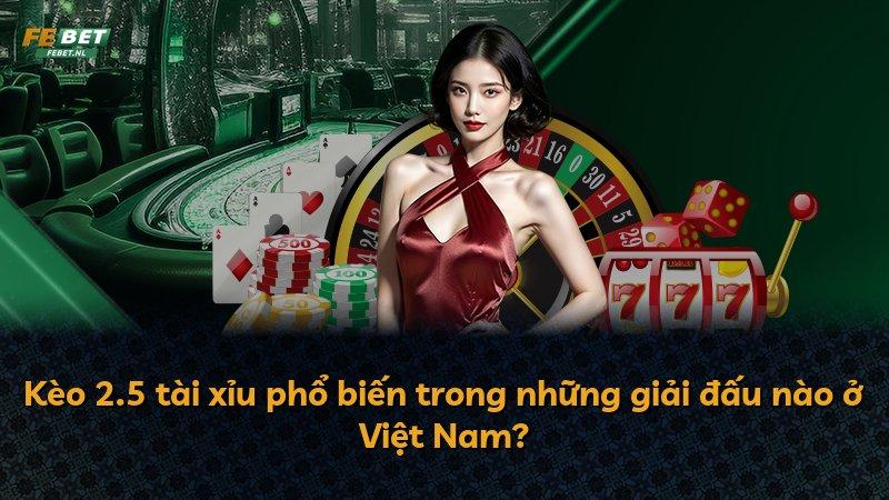 Kèo 2.5 tài xỉu phổ biến trong những giải đấu nào ở Việt Nam?