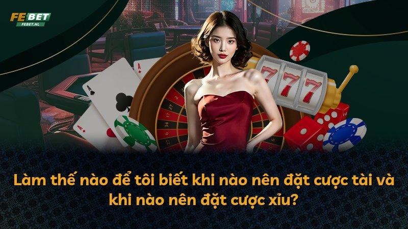 Làm thế nào để tôi biết khi nào nên đặt cược tài và khi nào nên đặt cược xỉu?