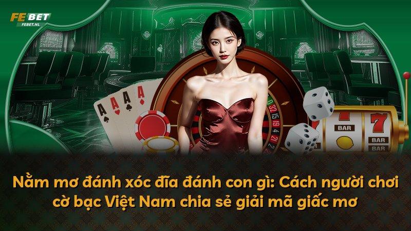 Nằm mơ đánh xóc đĩa đánh con gì: Cách người chơi cờ bạc Việt Nam chia sẻ giải mã giấc mơ