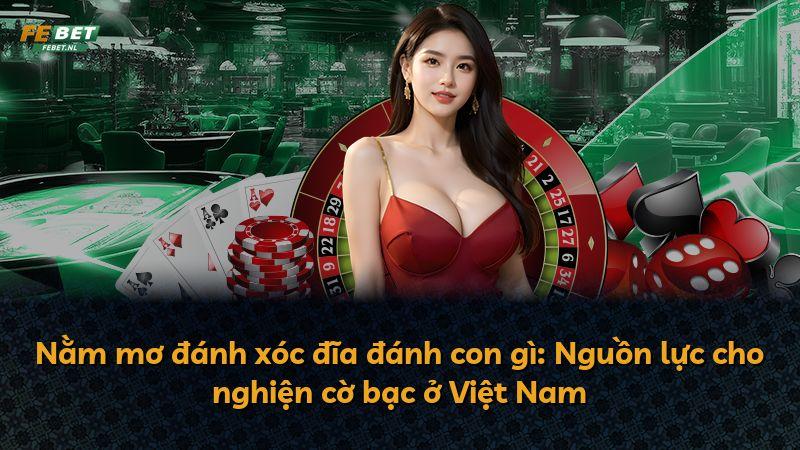 Nằm mơ đánh xóc đĩa đánh con gì: Nguồn lực cho nghiện cờ bạc ở Việt Nam