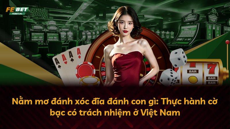 Nằm mơ đánh xóc đĩa đánh con gì: Thực hành cờ bạc có trách nhiệm ở Việt Nam