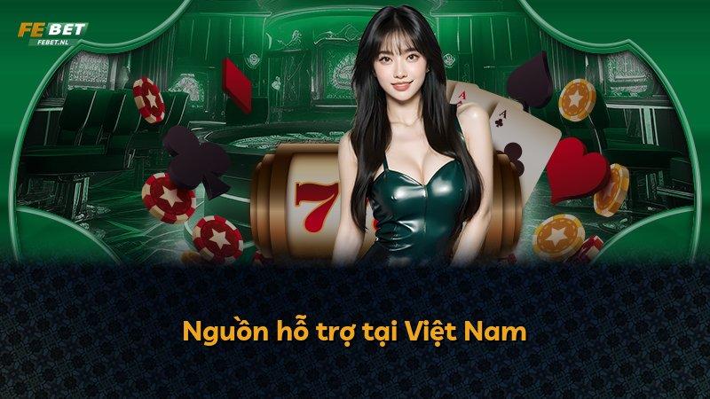 Nguồn hỗ trợ tại Việt Nam