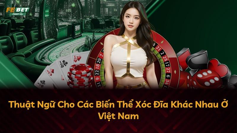 Thuật Ngữ Cho Các Biến Thể Xóc Đĩa Khác Nhau Ở Việt Nam