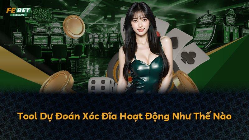 Tool Dự Đoán Xóc Đĩa Hoạt Động Như Thế Nào